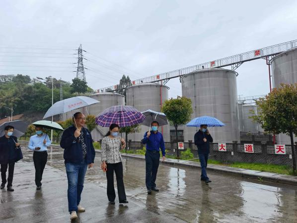 今良造制酒：宜宾市委统战部黄洁常务副部长一行调研今良造制酒1.jpg